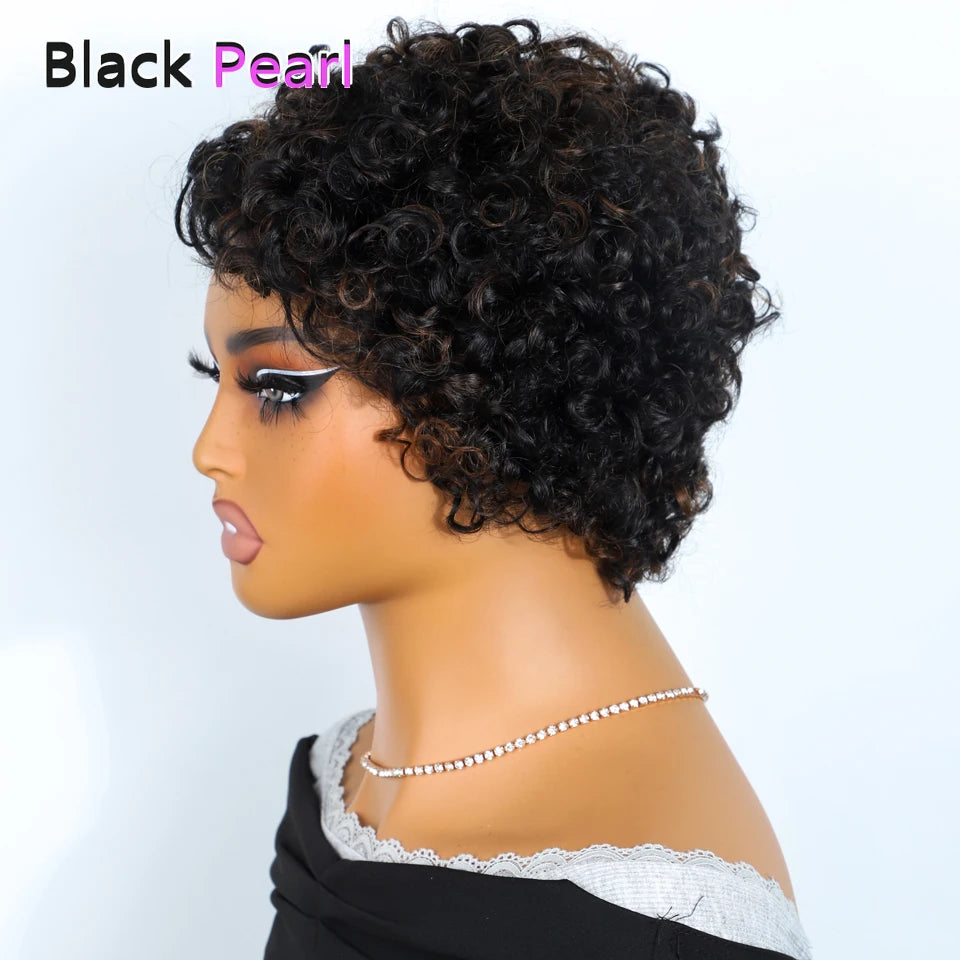 Jerry Curly Short Pixie Lace Front Human Hair Wigs for Women HD Lace Wigs Human Hair Multi Parting Water Wave Lace Front Wig