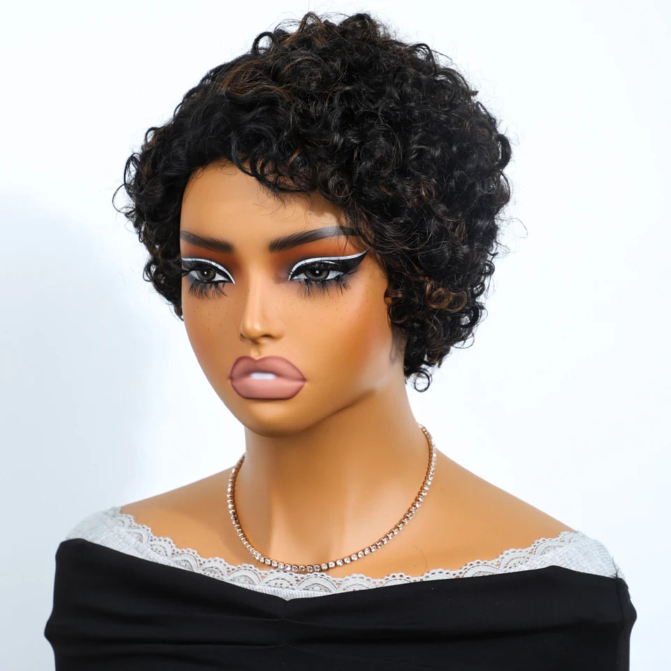 Jerry Curly Short Pixie Lace Front Human Hair Wigs for Women HD Lace Wigs Human Hair Multi Parting Water Wave Lace Front Wig