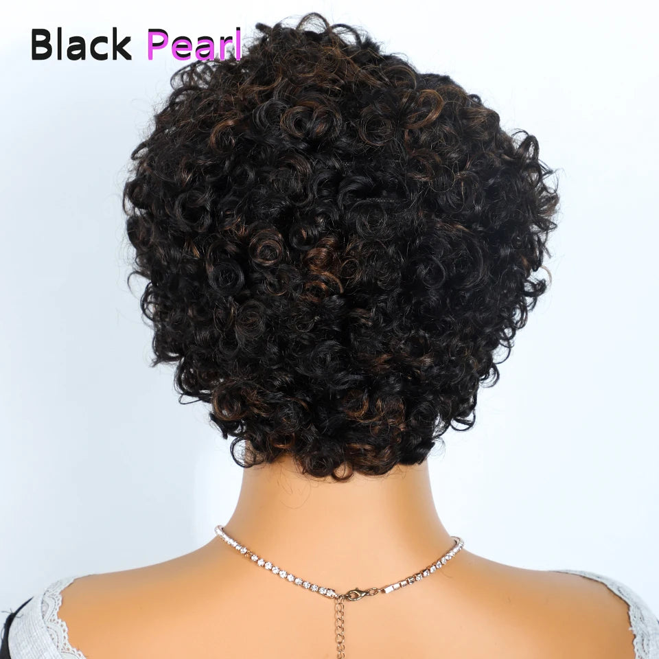 Jerry Curly Short Pixie Lace Front Human Hair Wigs for Women HD Lace Wigs Human Hair Multi Parting Water Wave Lace Front Wig