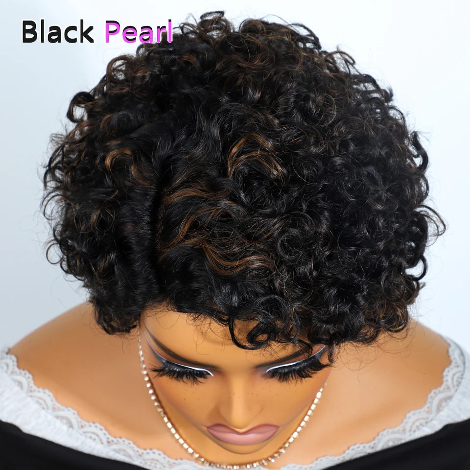 Jerry Curly Short Pixie Lace Front Human Hair Wigs for Women HD Lace Wigs Human Hair Multi Parting Water Wave Lace Front Wig