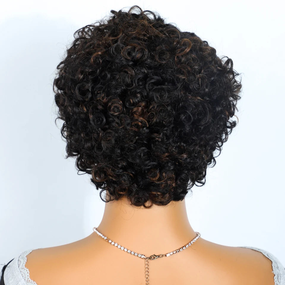Jerry Curly Short Pixie Lace Front Human Hair Wigs for Women HD Lace Wigs Human Hair Multi Parting Water Wave Lace Front Wig